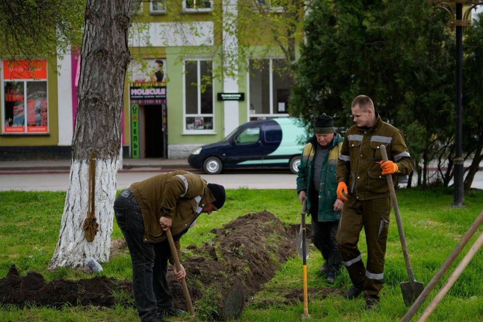 В сквере Дубинина стартовали работы по установке системы автополива В сквере Дубинина стартовали работы по установке системы автополива