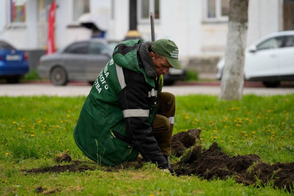 В сквере Дубинина стартовали работы по установке системы автополива В сквере Дубинина стартовали работы по установке системы автополива