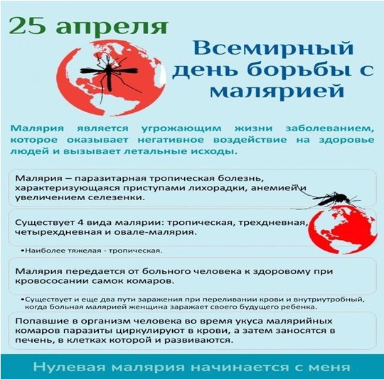 Всемирный день борьбы с малярией Всемирный день борьбы с малярией