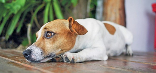 ����� �� � ����� ���� ��������� � ��� � ����������