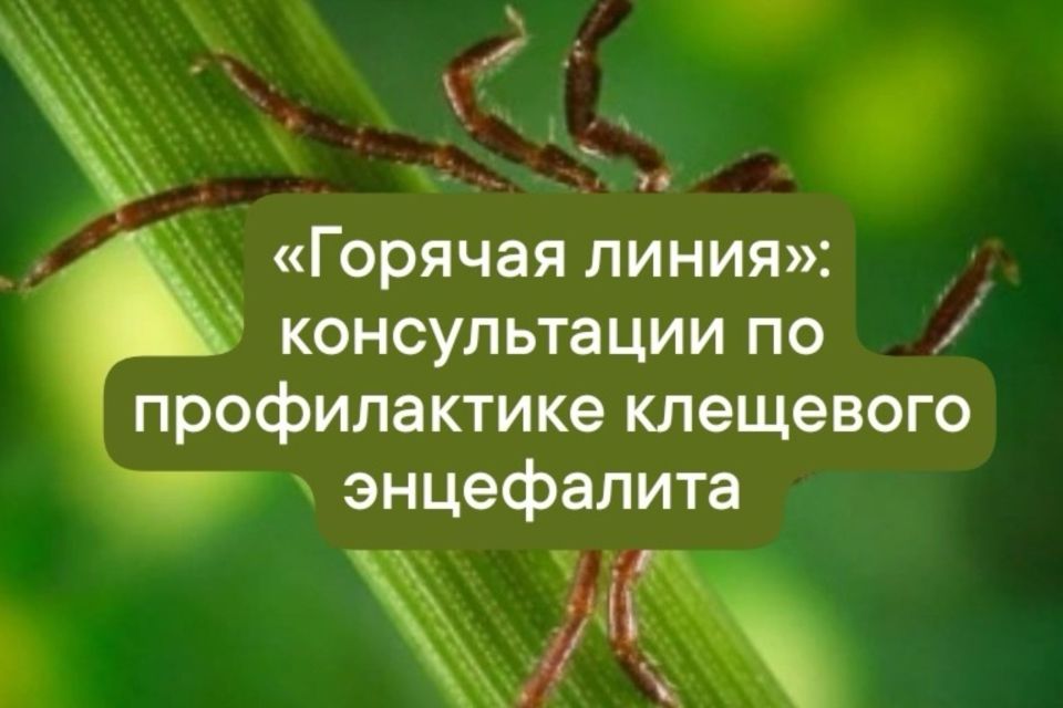 ������� ����� �� �������� ������������ ��������� ���������� � ������ ��������, ������������ �������.