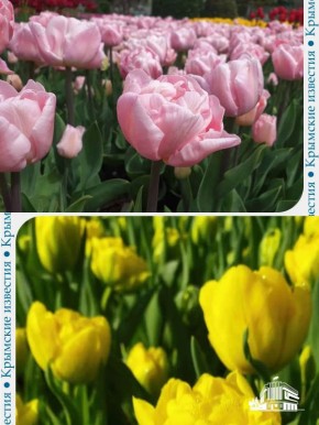 �������� ������ ��������� �������� � ��������� ������������ ����