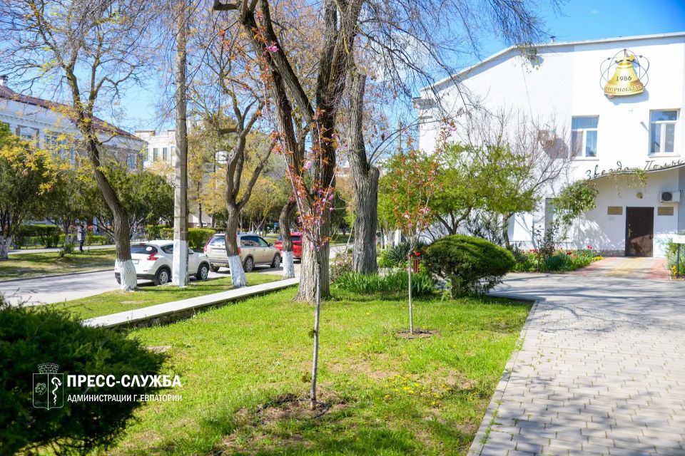 ФОТОФАКТ: В Евпатории можно полюбоваться цветением сакуры ФОТОФАКТ: В Евпатории можно полюбоваться цветением сакуры