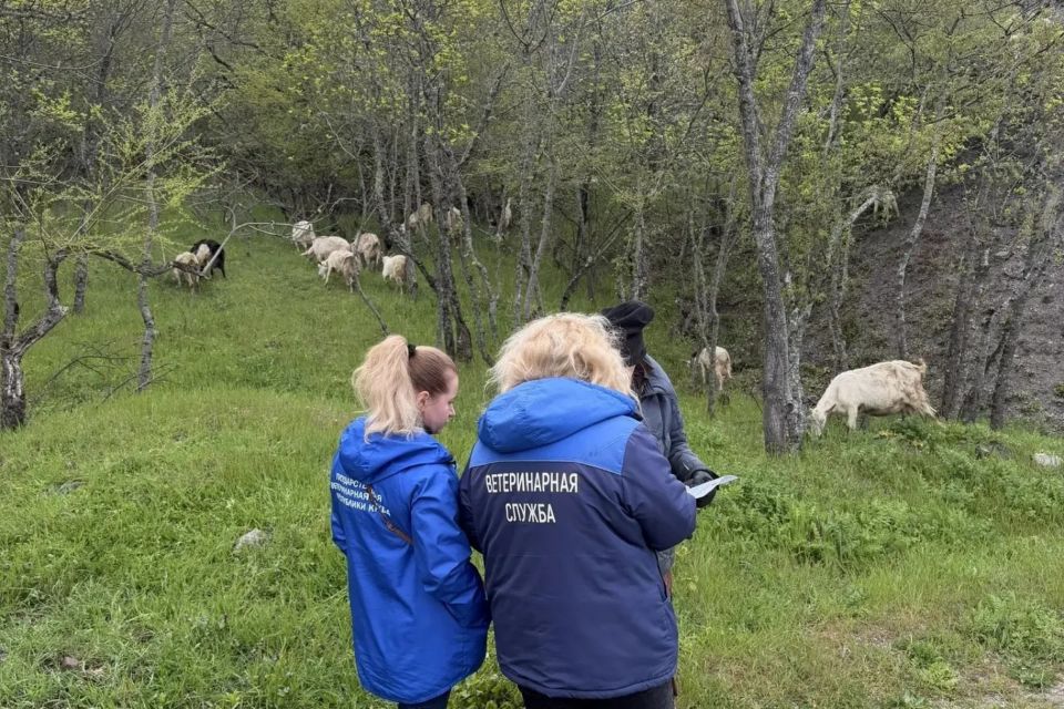 ������������� ������������� �������� �� ������������������ ��������� �������� � �. ������