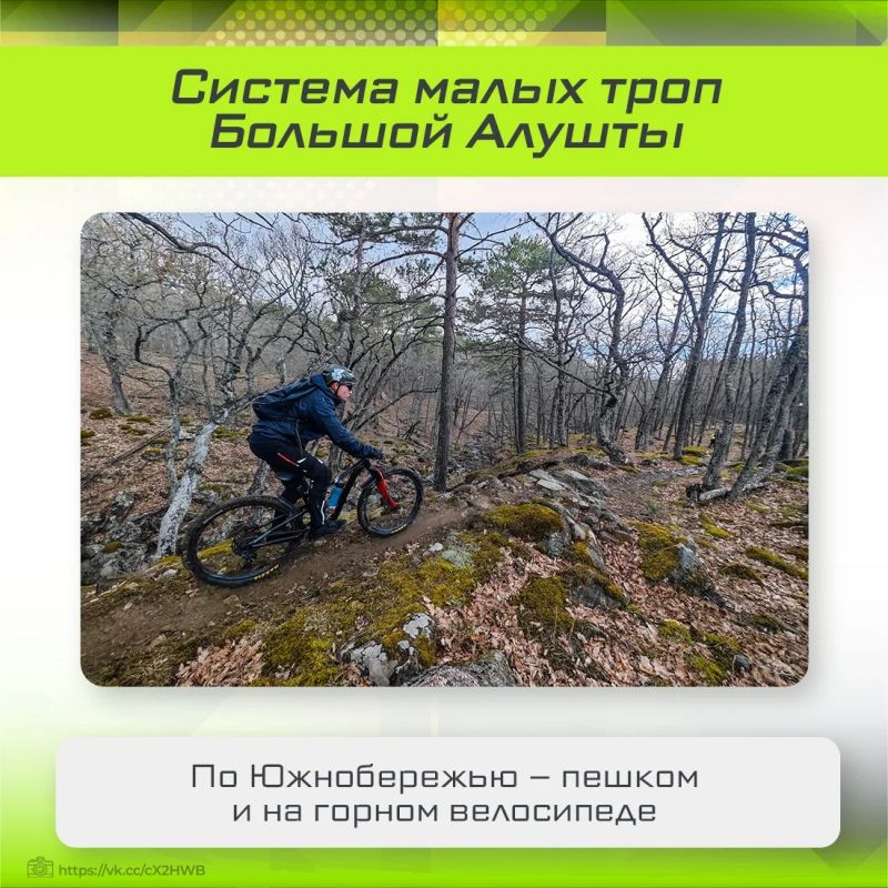 Началось народное голосование за лучшие идеи по развитию спорта и здорового образа жизни Началось народное голосование за лучшие идеи по развитию спорта и здорового образа жизни