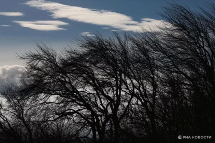 � ����������� � ����� ����������� ������� �����