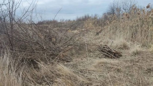 ��������� �������� 100 000 ������ ������ �� ���������� ������� ��������