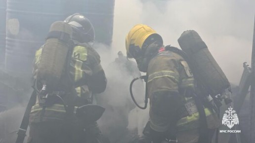 ����� �� ������ � ����������� ��������� ��������