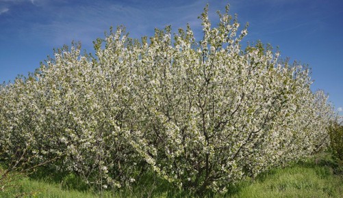 �������� ������� � ������� �� ����������: � ����� ������ ������� � ����