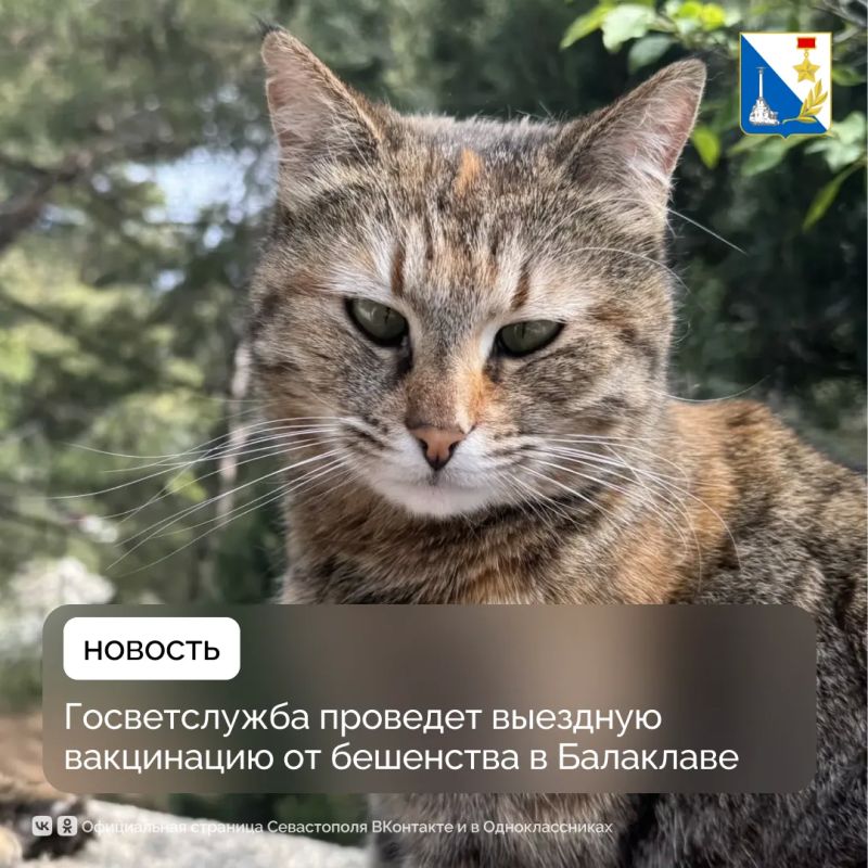 � ��� �������, 25 ������, � ��������� ����� ��������� ������� ������� �� ���������