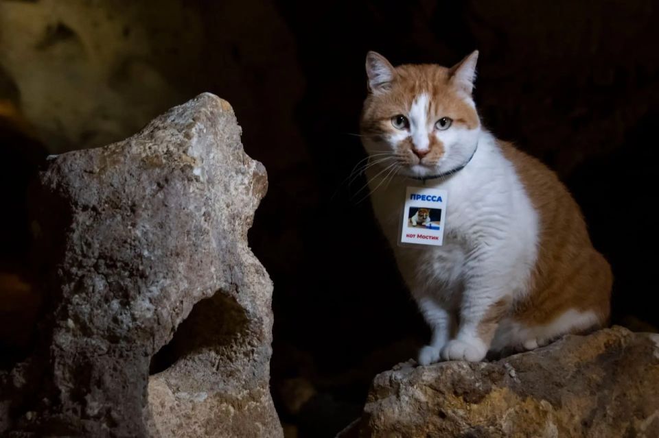 Кот Мостик: В Крыму есть пещера, которая помнит таких животных, о которых мы даже не слышали