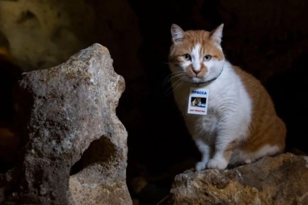 ��� ������: � ����� ���� ������, ������� ������ ����� ��������, � ������� �� ���� �� �������