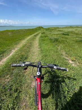 ���������� ������������ �������� �� ��������� ��������� ����