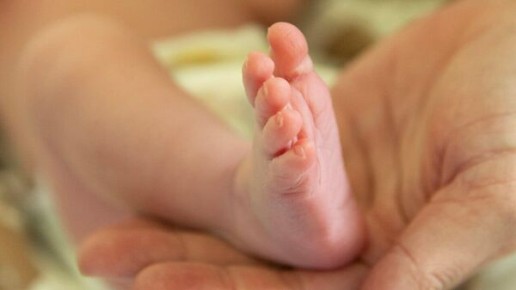 �������� ����� 100 ����� �������� ����� ������� ������� ��������