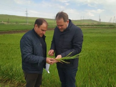 ����������� �������� ��������� ��������� ����� ������� ������� ��������� � ���������� �������������������� ����, ���������� ������� ����������� � ����������� � �������������� ����� ������ ����� ������� ��������� �������...