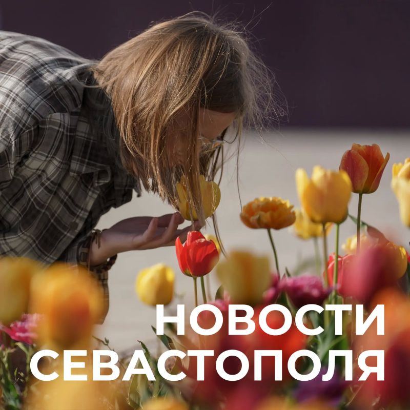 Михаил Развожаев: Коротко о главном:. В ночь на воскресенье военные отразили одну из самых массированных атак ВСУ на Севастополь