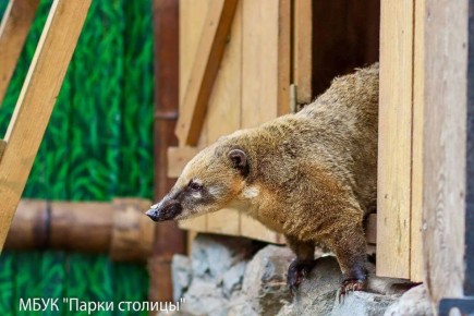 ����� ������� ����, �������� �� ���, ���������� ��-������, �������� ��� ���� ��������, � �� ��������� ������ � ������� ���������