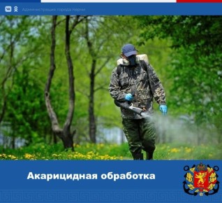 � 28 ������ �� 15 ���, � ����������� �� �������� �������, � ����� ����� ������������� ����������� ��������� (�� ������) ������ ��� �� ������������ �������������