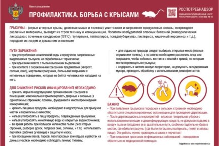 �����������, ������������ ���������