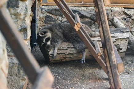 � ����� ����� ����� �� ������������� � ������������ �� ������