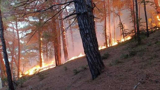 ������� ������� ������� ������ � ������� - ��������� ����