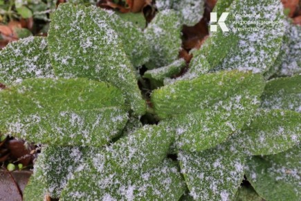 � ����� ��������� ��������� �� -3