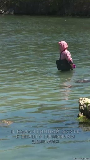 � ����������� �� ������������ ��������� �������-��������� �� ������ �����