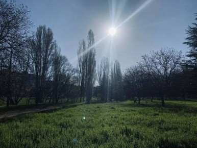 ������ ����, �����������!