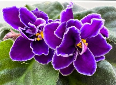 ������ ����, �������!. ���� - ��� �� ������ ����� �����, �� � ��������� ����