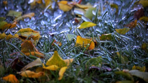 ������������� ������ �������� � ���� ���������: ������ �� �������