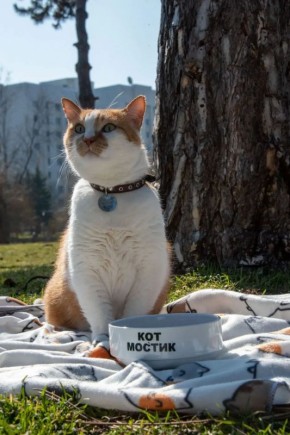 ��� ������: �������� ������������� ������ � �����