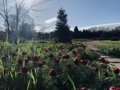 ������ � ����������� 28 ������