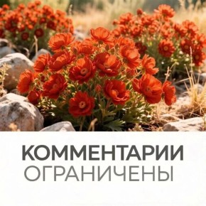 ���� �����: ��������� ��������� ������ ����������!