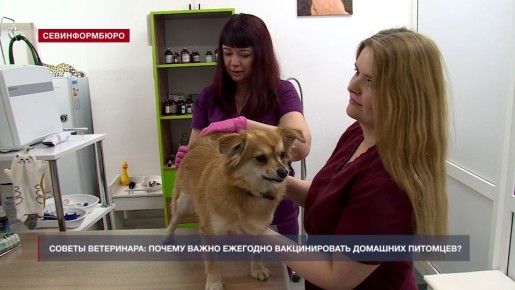 ������ ����������: ��� ���� ����� ��������� ���������� �������?