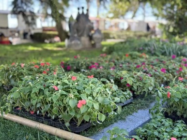 ���� ����������: �� ������� ������ ������� 80 ����� ��������