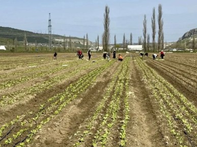 � ����������� �������� ����� 220 ����� �������� ��������� �������