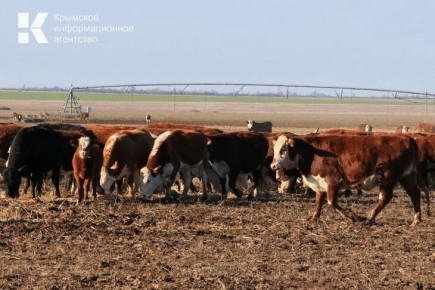 �� ������� ������� ����� ����� ������������ ��������� ������������� ����������������