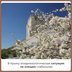 ��������� ���������: ������������������ ���������� � ����� �� ������ ������� ���������� � ������� ���������� ������� �������������� �� �����������