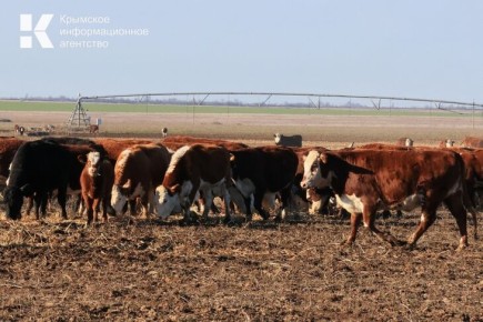 �� ������� ������� ����� ����� ������������ ��������� ������������� ����������������