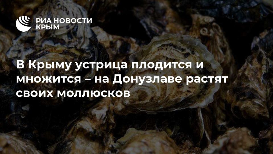 � ����� ������� �������� � �������� � �� ��������� ������ ����� ���������