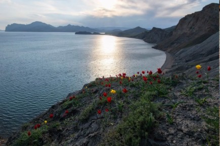 ����� �������� �� ������� ���� ����-�������