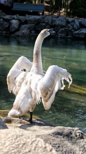 ���������� � ������� ��������� ������ � ����� ������