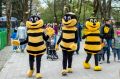� ����������� ���������� ������������� �������� ������������ �������� �����