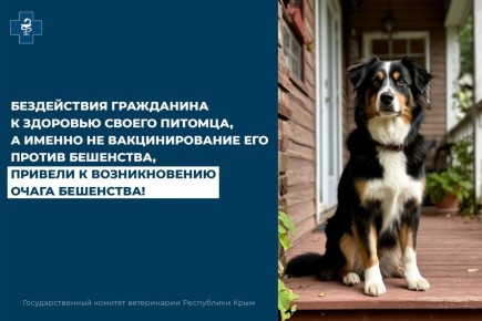 ����������� ���������� � �������� ������ ������� ������� � ������������� ����� ��������� ���������