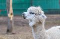 � �� �����, ��� ������� �� ����� � �� �������, ��� �����? ��� �����, ��������� ���������������� ���������