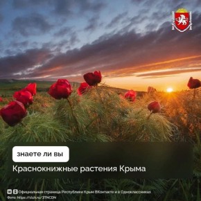 � ����� ������� ��������������