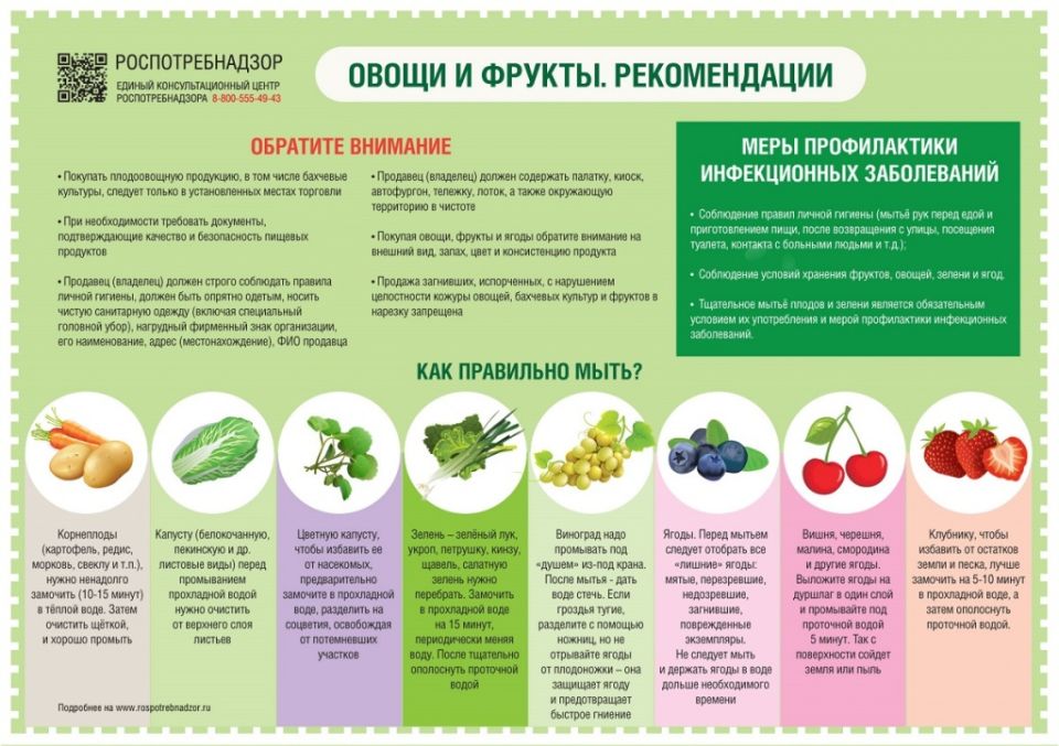 Как правильно мыть фрукты, овощи и зелень, чтобы уберечься от кишечных инфекций? Как правильно мыть фрукты, овощи и зелень, чтобы уберечься от кишечных инфекций?