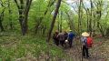 Спасатели три километра несли на носилках раненную в горах Крыма туристку