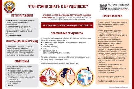 ��������� - ������� ������������ ����������� �������������������� ��������