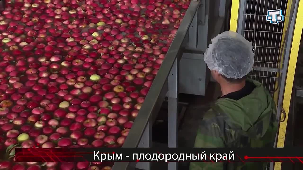 Государство помогает аграриям Крыма развивать хозяйство и модернизировать процессы